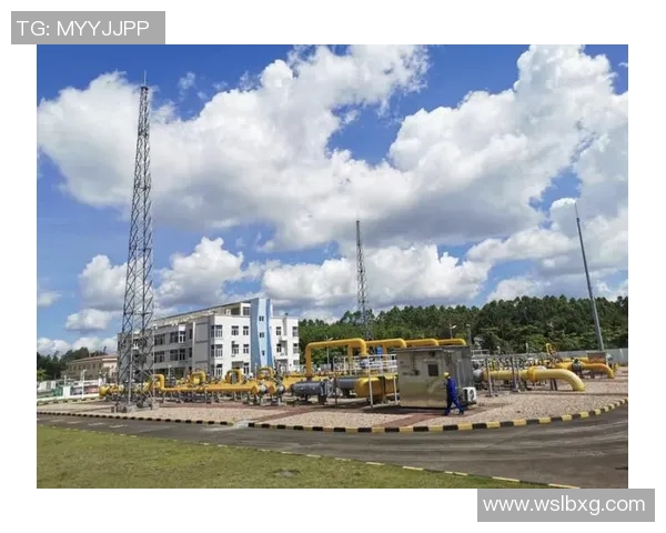 城市赛中LNG展现灵活性优势的深度分析与点评 城市赛中LNG展现灵活性优势的深度分析与点评